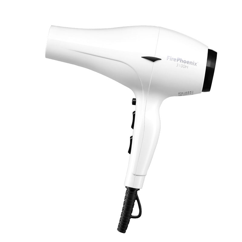 Hair Dryer Hair Stylist Special High Power Mute 2400W ARZ