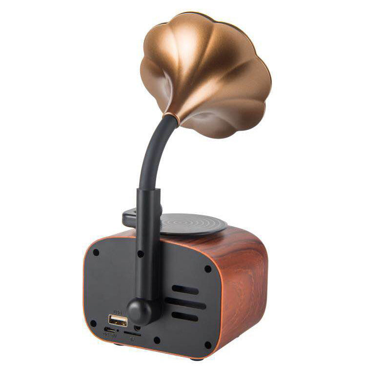 Gramophone small speaker ARZ