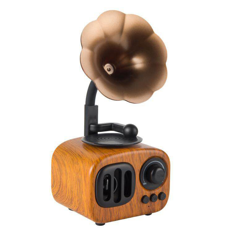 Gramophone small speaker ARZ