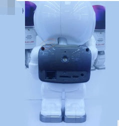 Astronaut Robot Camera IP Wifi Wireless P2P Security Surveillance Night Vision IR Home Security Robot Baby Monitor ARZ