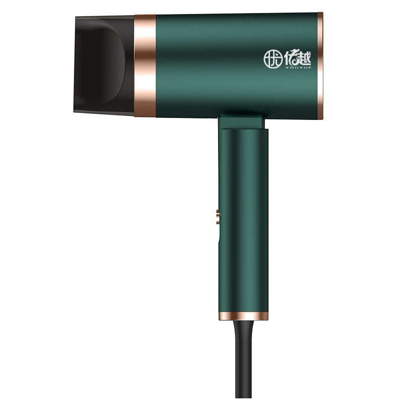 Foldable Household Negative Ion Beauty Hair Dryer ARZ