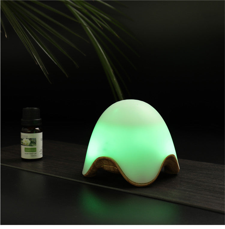 Small humidifier ARZ