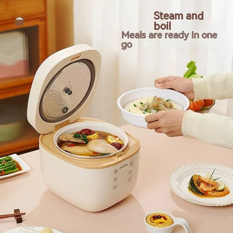 Intelligent Multi-function Rice Cooker For Home Use ARZ