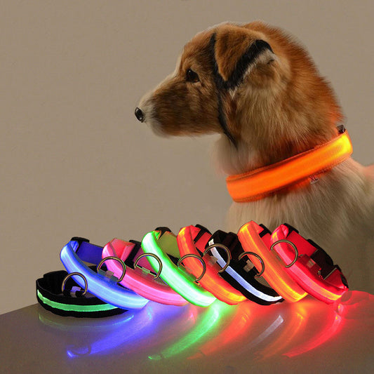 Safety Dog LED Collar ARZ