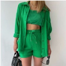 Spring Champray Lapel Long Sleeve Shirt High Waist Drawstring Shorts Plus Size Fashion Casual Set ARZ